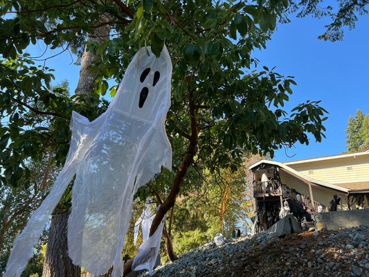 November 2021 Youbou Connector