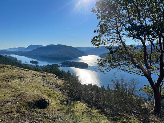 March 2022 Youbou Connector