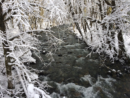 January 2021 Youbou Connector