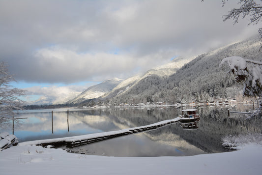 December 2020 Youbou Connector