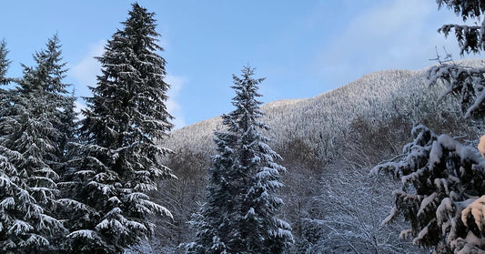 February/March 2023 Youbou Connector