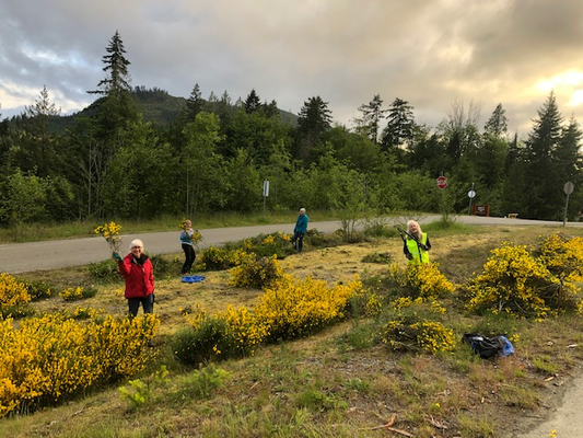 Summer 2021 Youbou Connector