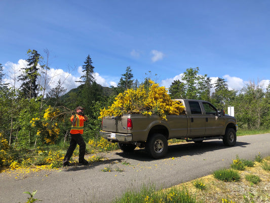 June 2020 Youbou Connector