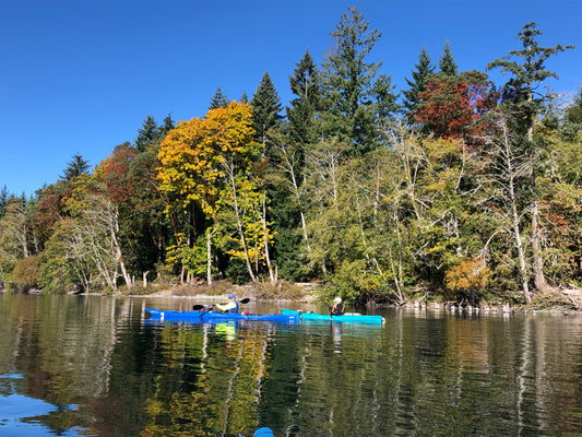 October 2021 Youbou Connector