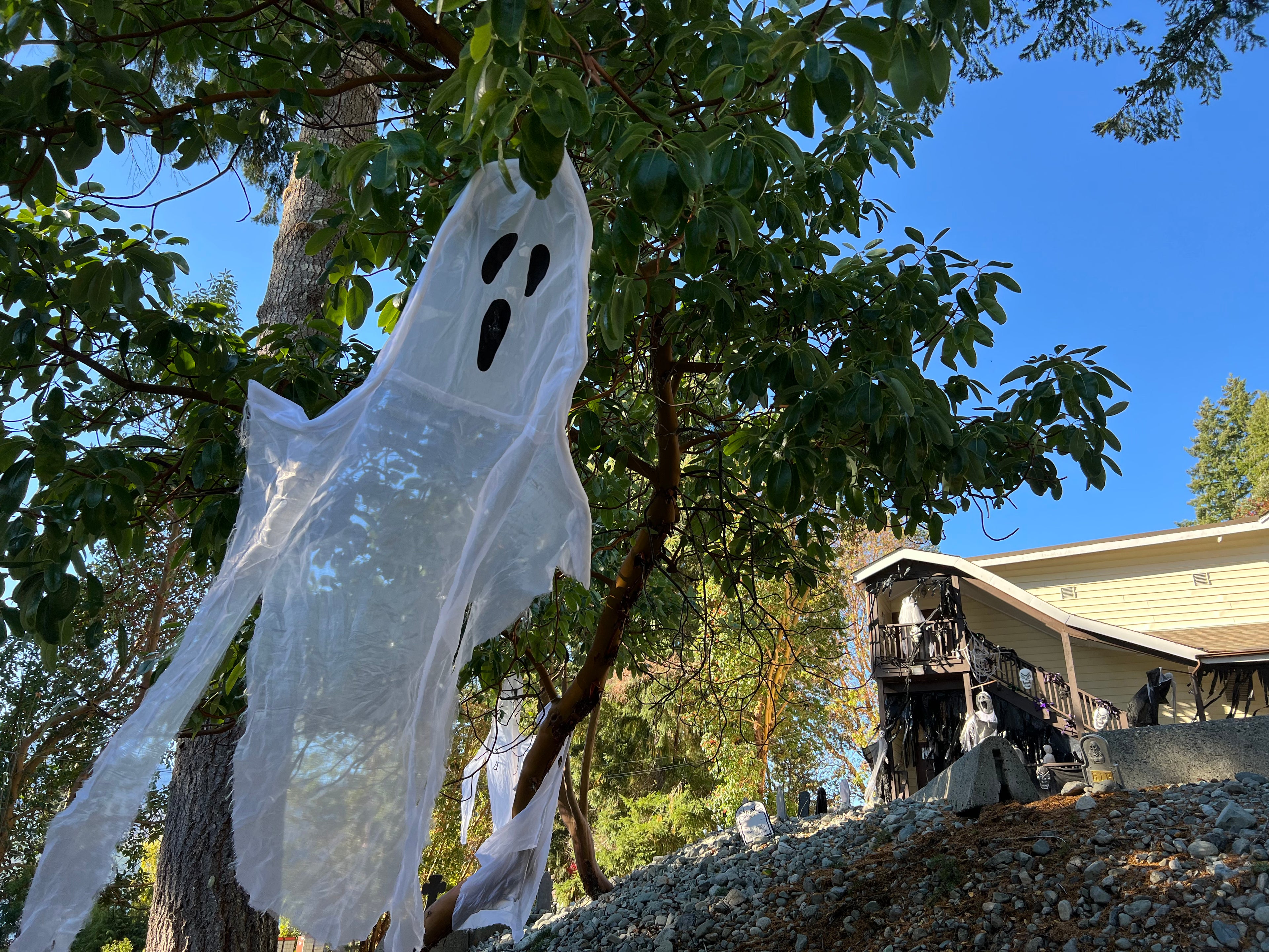 November 2021 Youbou Connector