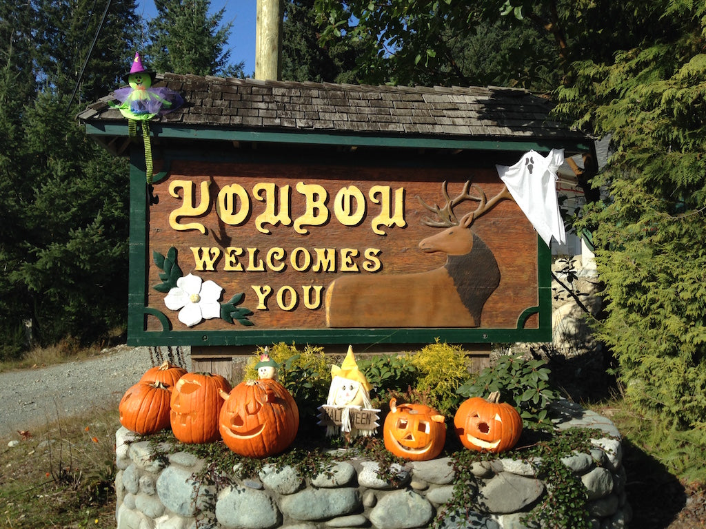 October 2020 Youbou Connector